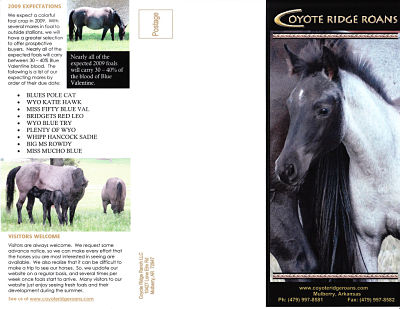 Click here for our 2011 brochure cover and inside flap