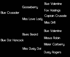 Sire: Blue Crusader (Gooseberry by Blue Valentine X Miss Love Lady); Dam: Blue Dot Hancock (Blues Beard by Blue Valentine X Miss Dusty Dot)     Tested: N/N for HYPP, HERDA, GBED, PSSM1, & MH