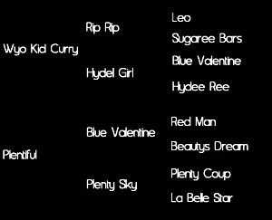 Sire: Wyo Kid Curry (Rip Rip X Hydel Girl)  Dam: Plentiful (Blue Valentine X Plenty Sky)      Tested: N/N for HYPP, HERDA, GBED, PSSM1, & MH