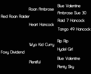 Sire: Red Roan Raider (Roan Ambrose X Heart Hancock) Dam: Foxy Dividend (Wyo Kid Curry X Plentiful)     Tested: N/N for HYPP, HERDA, GBED, PSSM1, & MH
