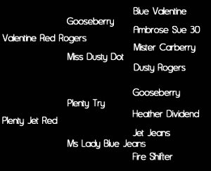 Sire: Valentine Red Rogers (Gooseberry by Blue Valentine X Miss Dusty Dot); Dam: Plenty Jet Red (Plenty Try by Gooseberry X Ms Lady Blue Jeans)