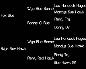 Sire: Fox Blue (Wyo Blue Bonnet X Bonnie O Blue); Dam: Wyo Blue Hawk (Wyo Blue Bonnet X Plenty Red Hawk)